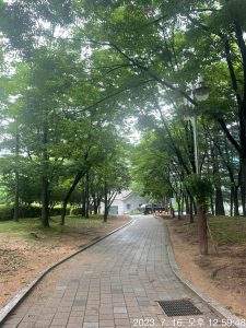타임스탬프추가